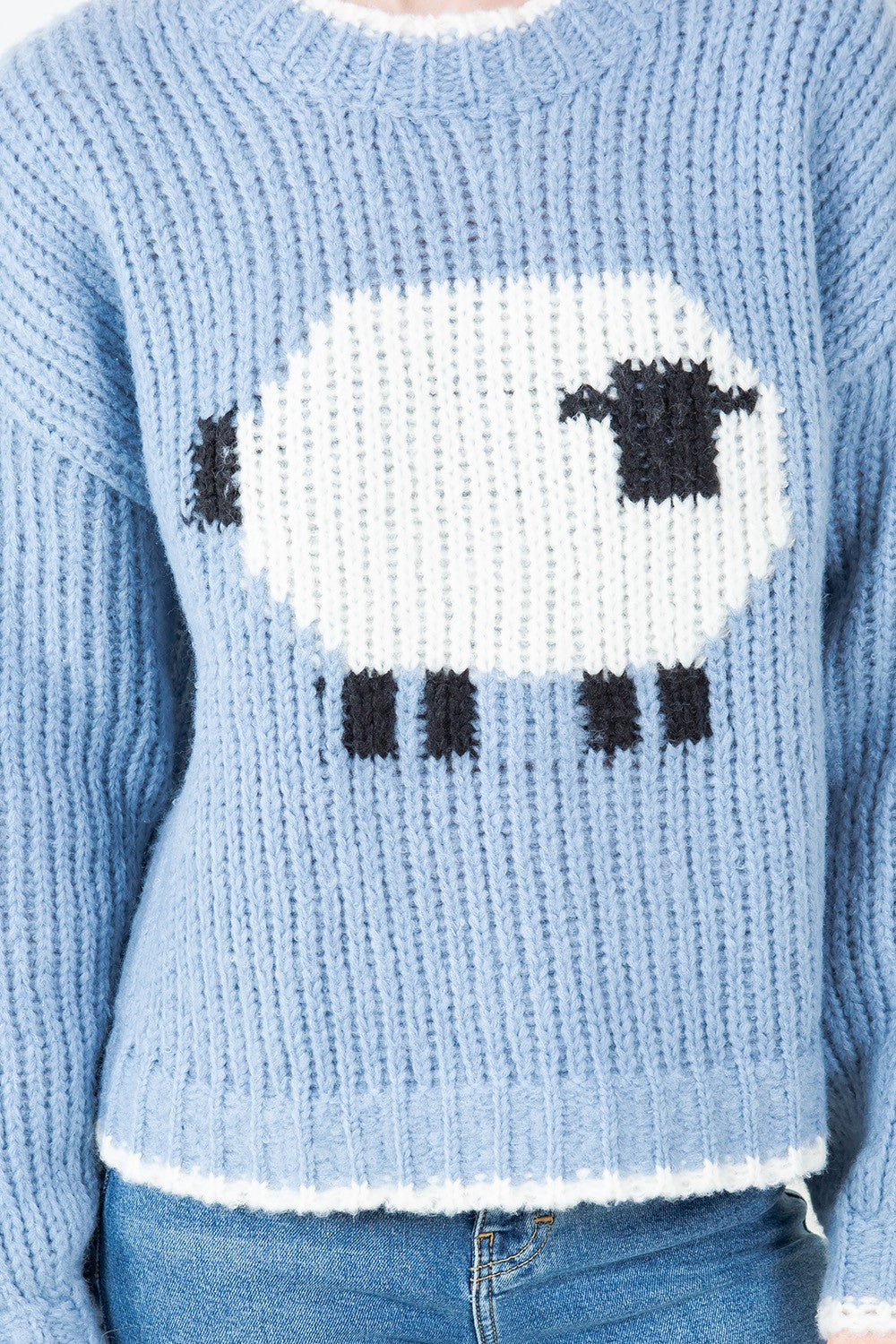 Sweater Cloud Sheep