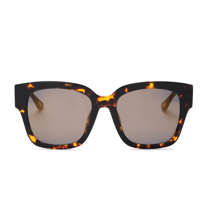 Lentes Bella II - Wine Tortoise + Wine Gradient+ Polarized