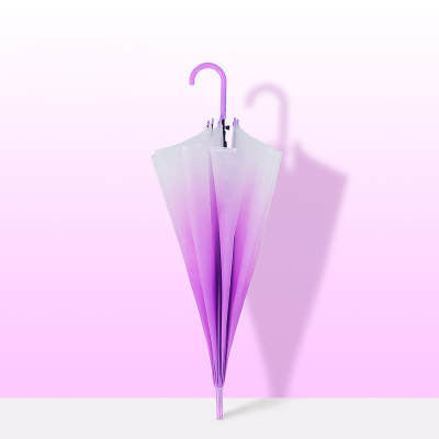 Sombrilla Purple Rocket